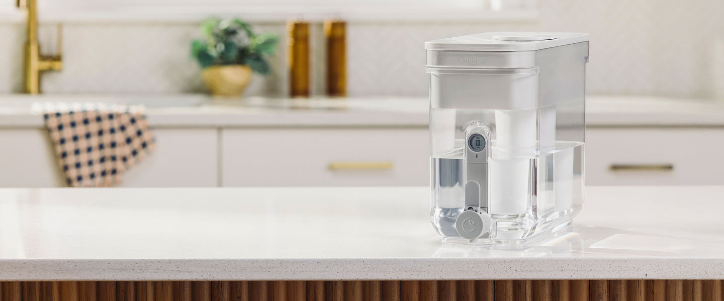 32 cup ZeroWater dispenser on white kitchen counter