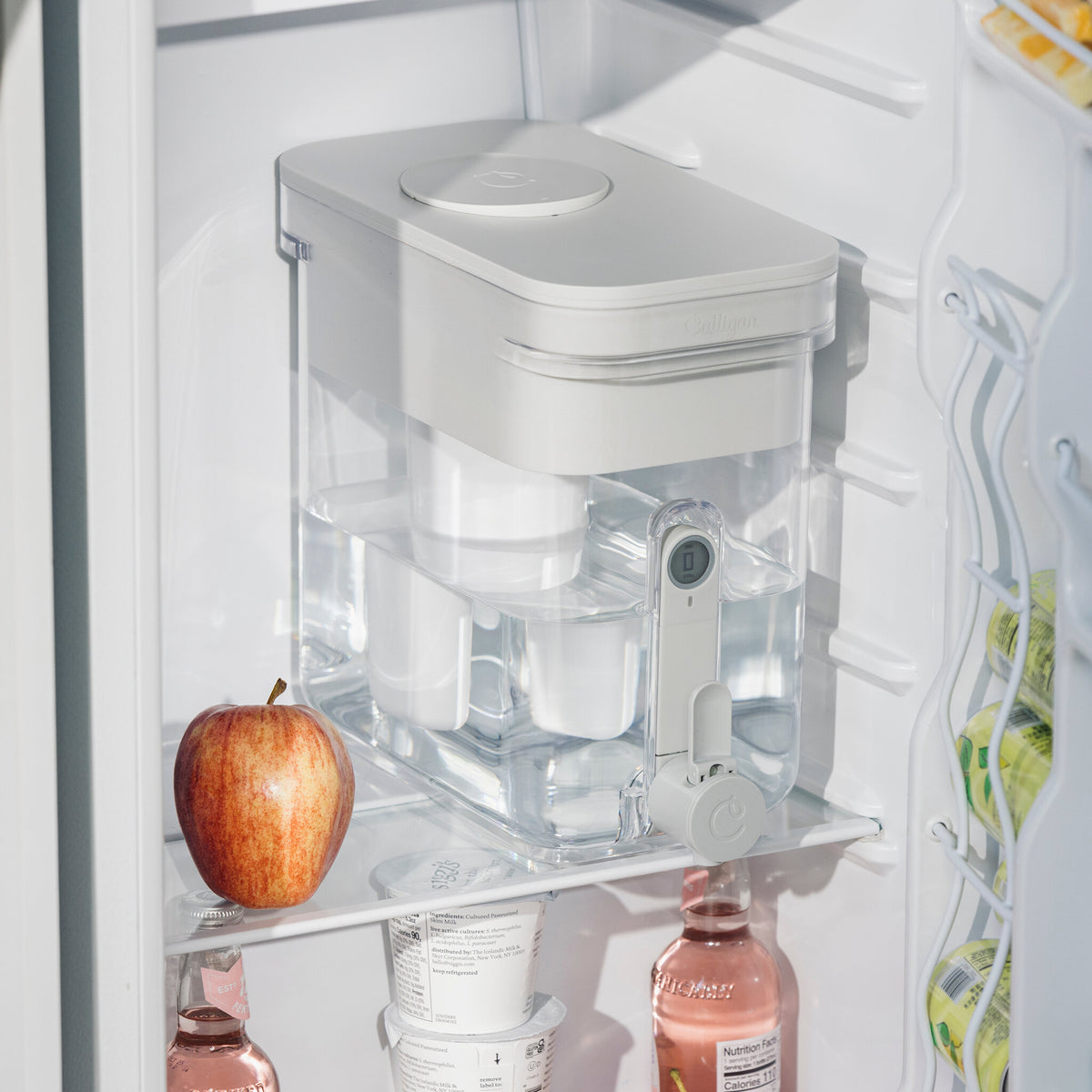 22 cup zerowater dispenser in refrigerator next to apple