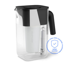 10 Cup Pitcher + 4 filters (5 month supply)